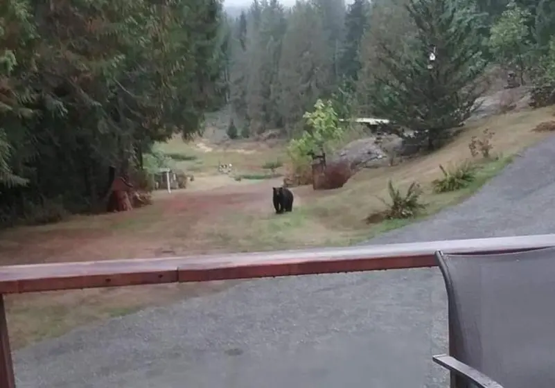 デラックススイート, Beaver Hut Bed And Breakfast