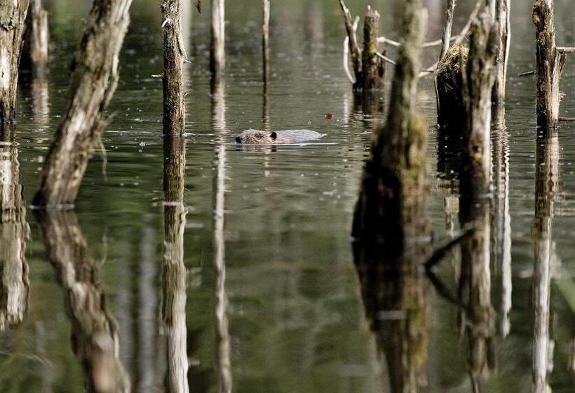 Deluxe Suite, Beaver Hut Bed And Breakfast
