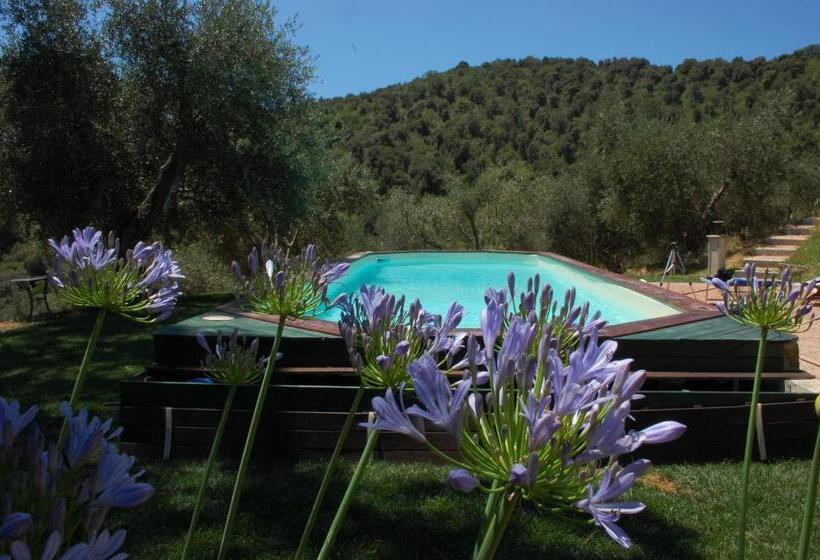 اتاق استاندارد با چشمانداز باغ, Il Pino