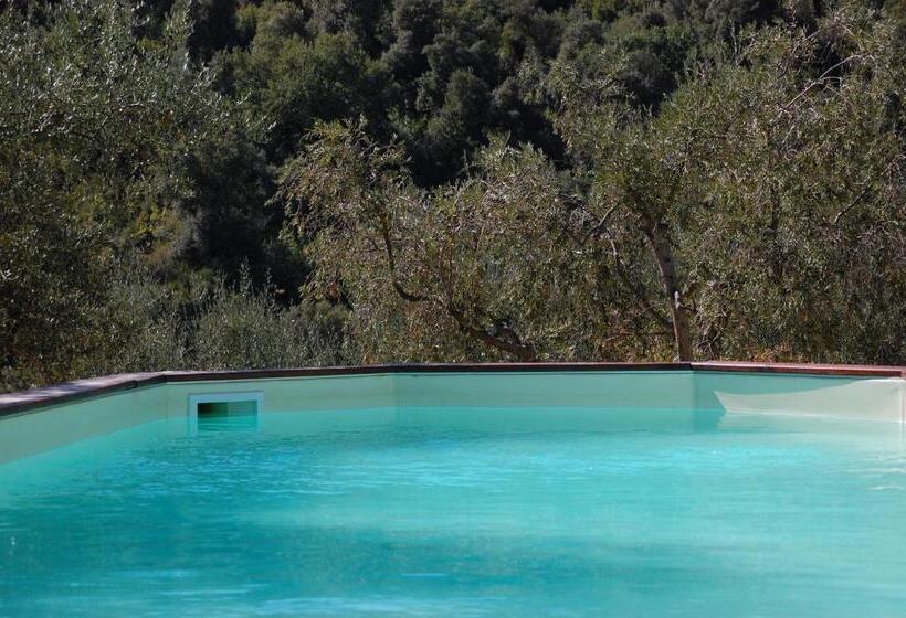 اتاق استاندارد با چشمانداز باغ, Il Pino