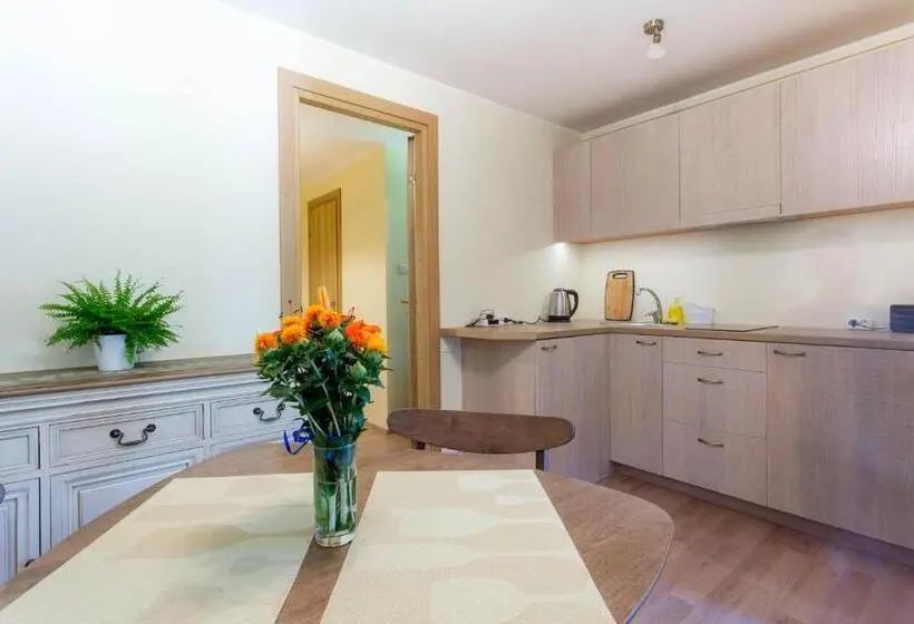 آپارتمان سوپریور 1 خوابه, Pärnu Villa Harmony