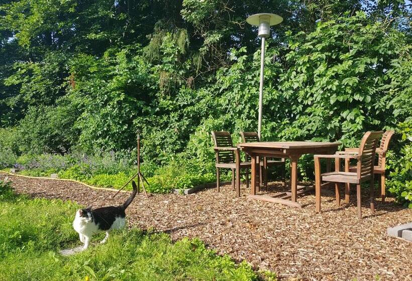 آپارتمان 1 خوابه, B&b Oostrik