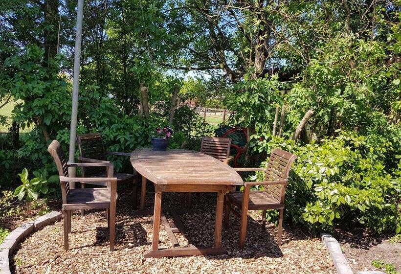 آپارتمان 1 خوابه, B&b Oostrik