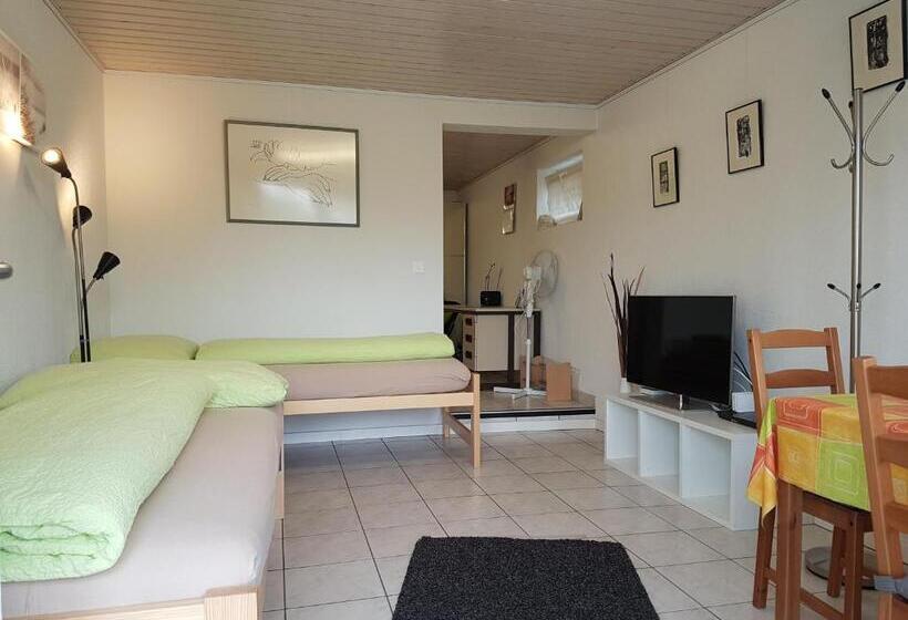 Номер Стандарт, Bnb Tuileries