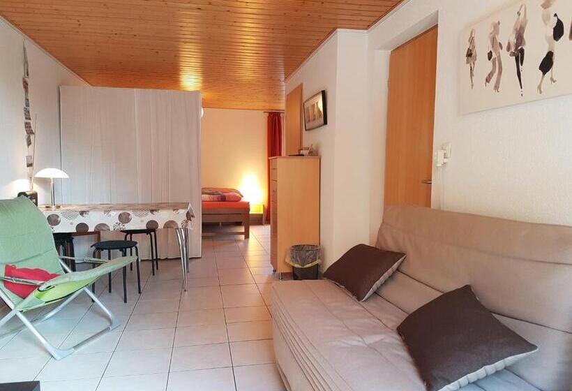 Номер Стандарт с Террасой, Bnb Tuileries