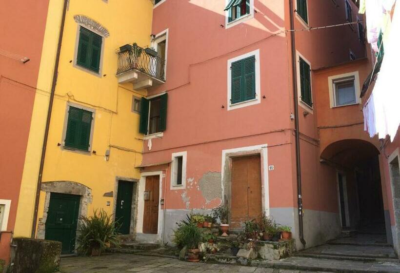 غرفة قياسية, Jolly Roger Affittacamere