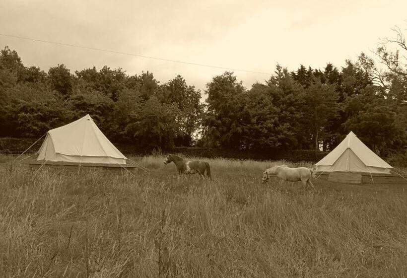 Standard Tent, Ferry House Holidays
