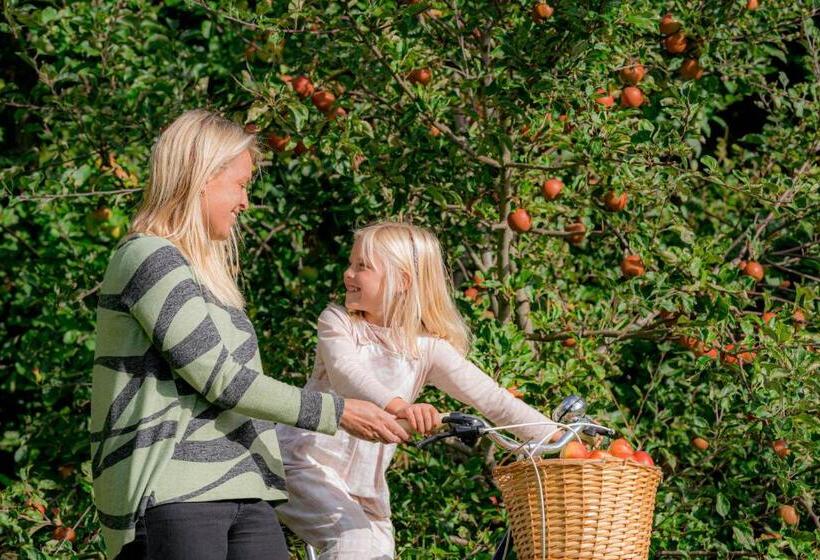 Standard Tent, Ferry House Holidays
