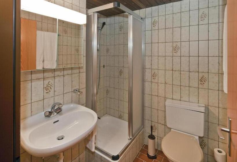 استودیو استاندارد با چشمانداز, Ferienwohnungen Zurschmitten