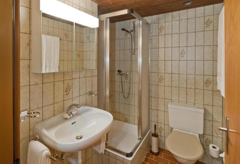 آپارتمان 1 خوابه با بالکن, Ferienwohnungen Zurschmitten