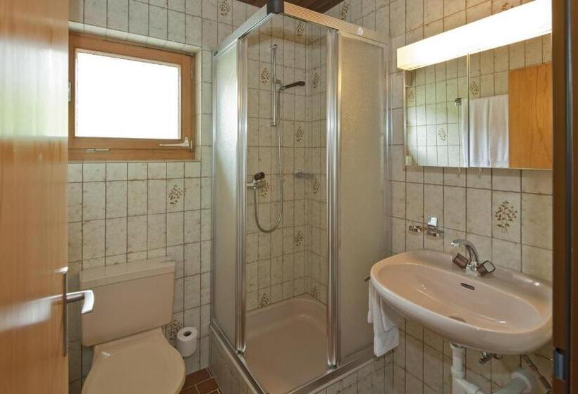 آپارتمان 1 خوابه با بالکن, Ferienwohnungen Zurschmitten