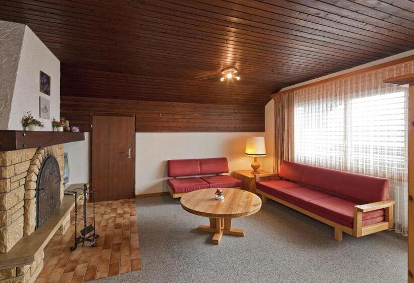 آپارتمان 1 خوابه با بالکن, Ferienwohnungen Zurschmitten