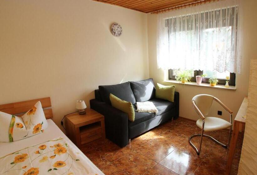 スタンダードシングルルーム, Pension Andrea