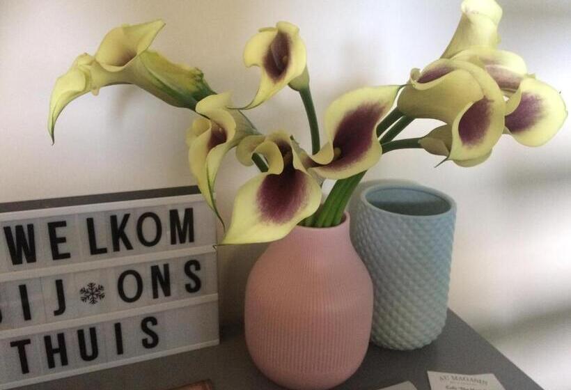 سوییت, B&b Huize Van Damme