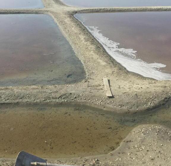 家庭间, ô Maxethel