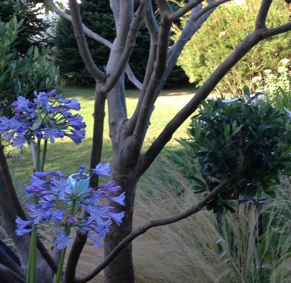 标准间, ô Maxethel