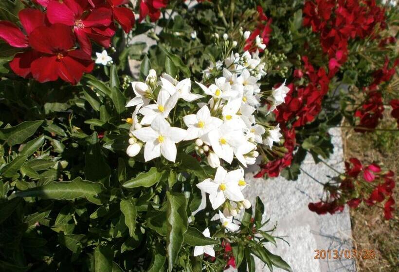 バルコニー付きスタンダードルーム, Garni Hattlerhof B&b