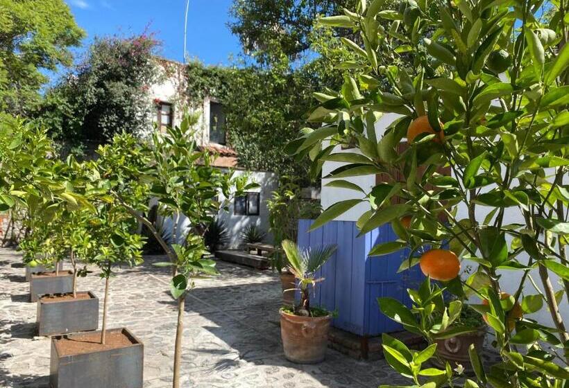 Standardrum, Posada Colibri   Hotel & Spa