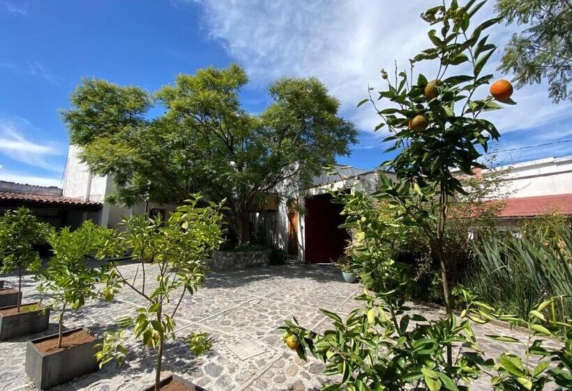 デラックスルーム, Posada Colibri   Hotel & Spa