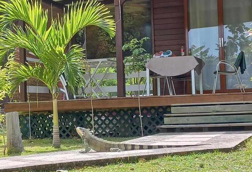 آپارتمان 1 خوابه, Village Le Pre