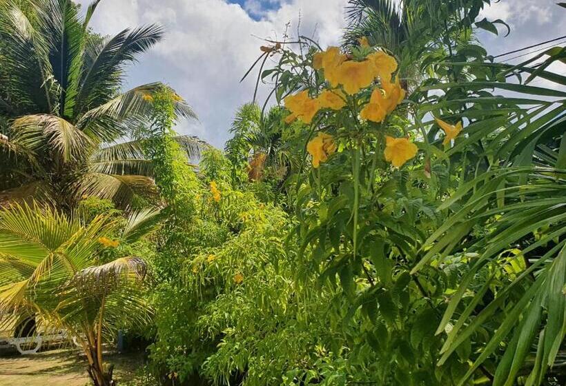 آپارتمان 1 خوابه, Village Le Pre