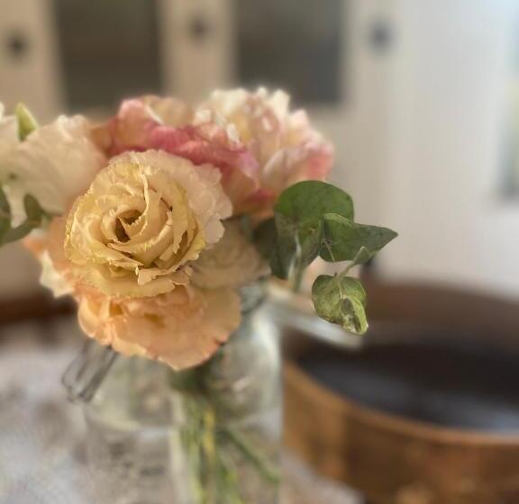 شقة غرفة واحدة مزودة بتراس, La Magara