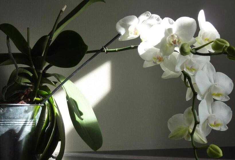 标准间, La Luna Of Marseille Villa D Architecte B&b