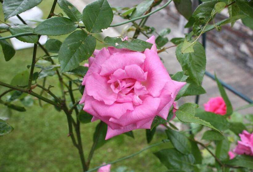 침실 2개 아파트, Ferienwohnung Ziemons