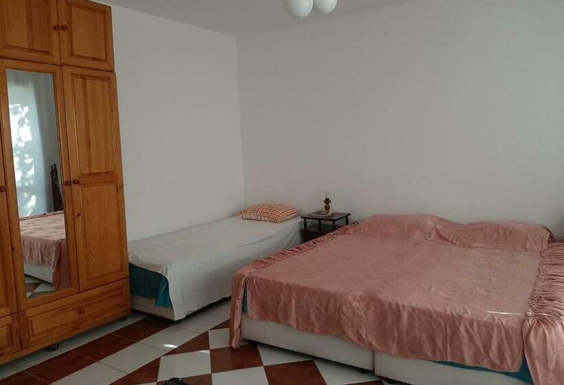 스탠다드 스튜디오 바다 전망, Popov Guest House