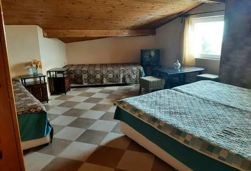 اتاق استاندارد چهار تخته, Popov Guest House