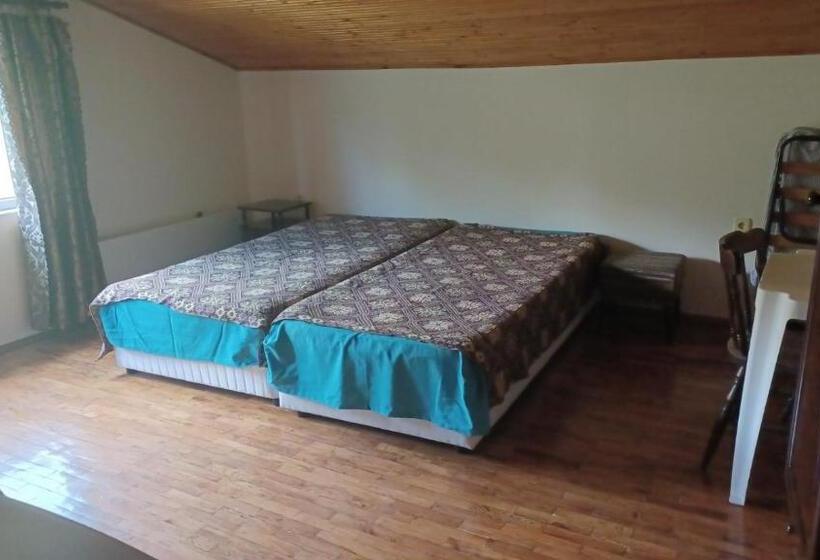 4인용 스탠다드 룸, Popov Guest House