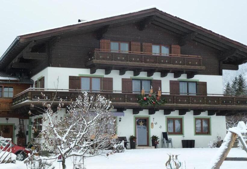 דירה בת חדר שינה 1 עם נוף, Wiesingbauer