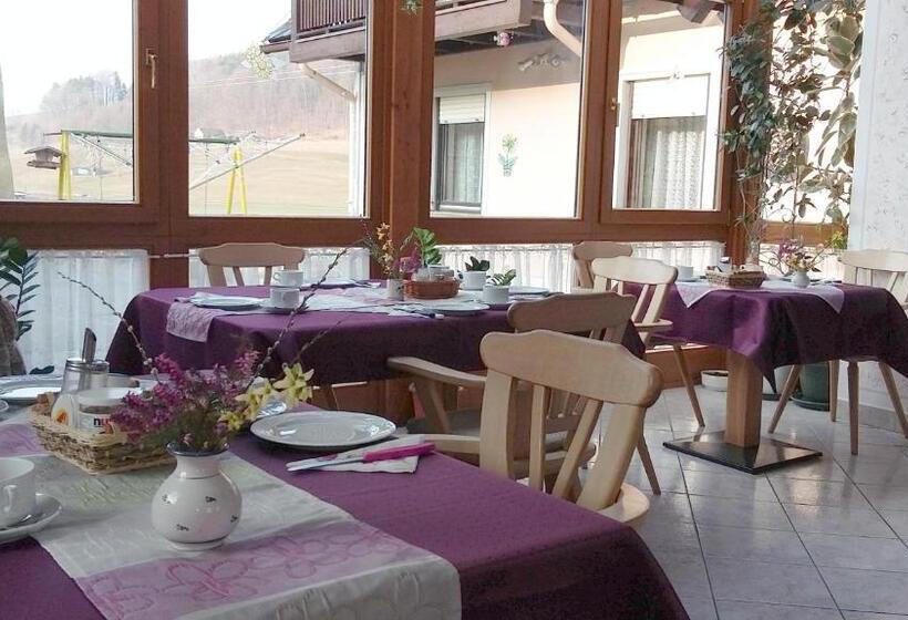 Номер Стандарт с Балконом, Gästehaus Anna