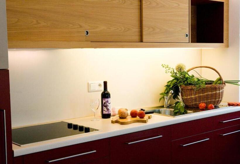 דירת שני חדרים, Residence Gustav Thoeni