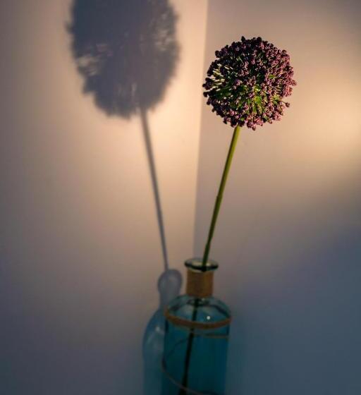 Апартаменты 2 Спальни, Villa Casafina Serviced Apartments