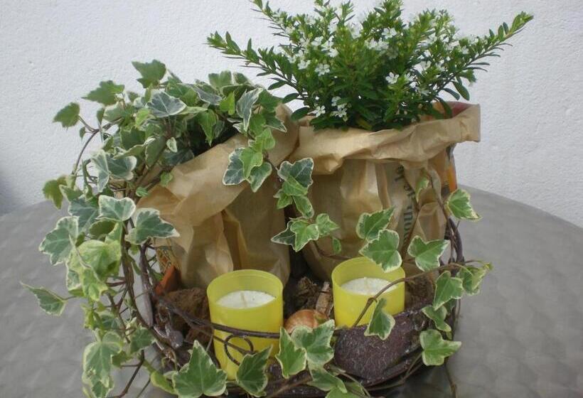 غرفة قياسية, Pension Staldacher