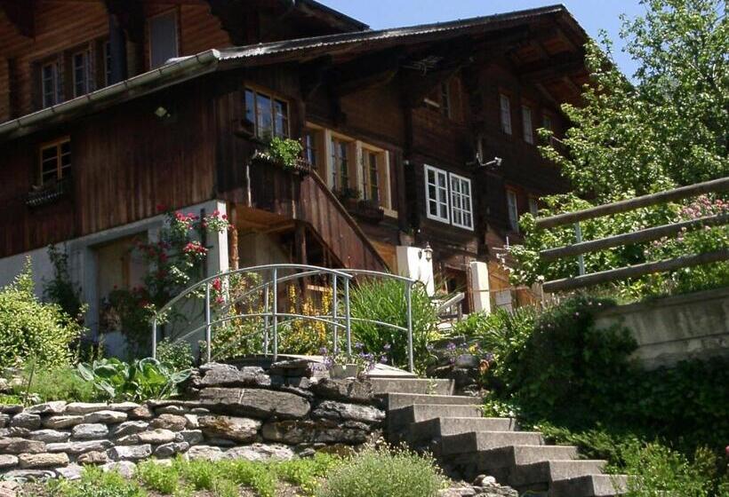 Номер Стандарт, Pension Staldacher
