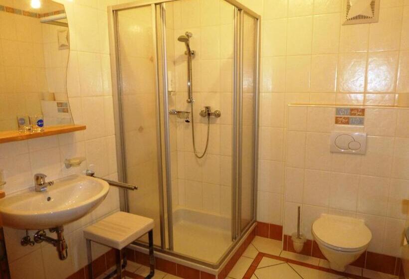 חדר קומפורט יחיד, Lehnerhof