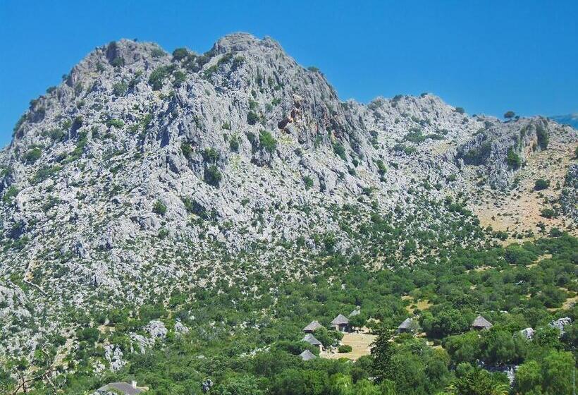 شقة غرفتين نوم مزودة بتراس, Los Chozos