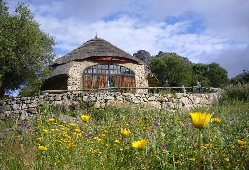 شقة غرفتين نوم مزودة بتراس, Los Chozos