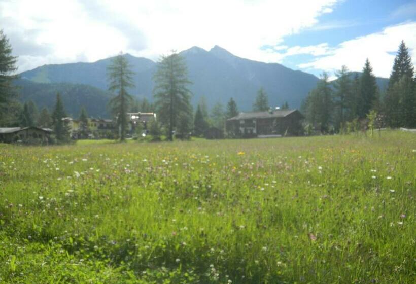 Студия Стандарт, Landhaus Charlotte Apartments Tirol