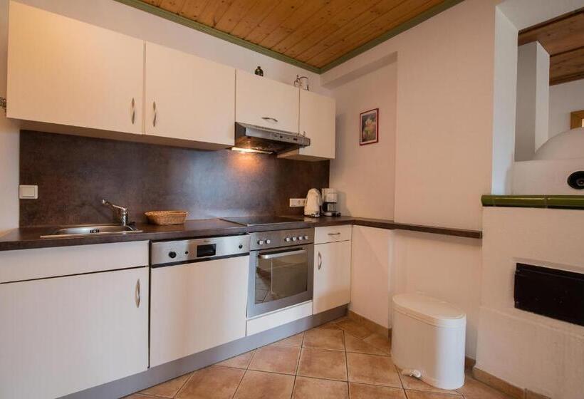 Апартаменты 1 Спальня, Landhaus Charlotte Apartments Tirol