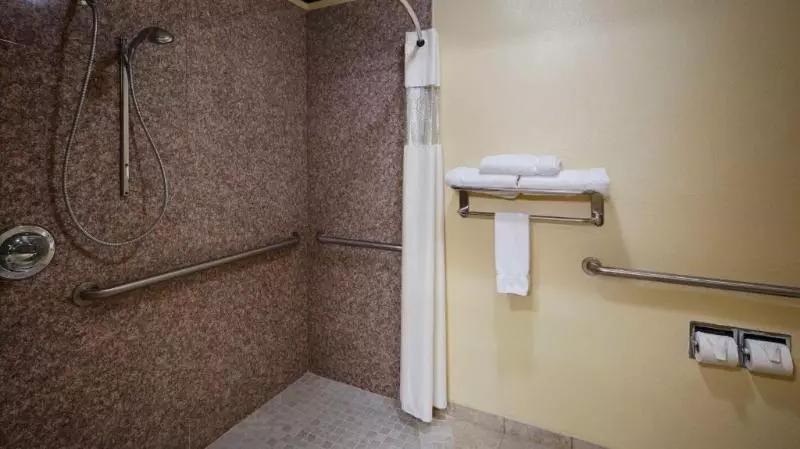 身障者適用スタンダードルーム, Best Western Plus Royal Mountain Inn & Suites