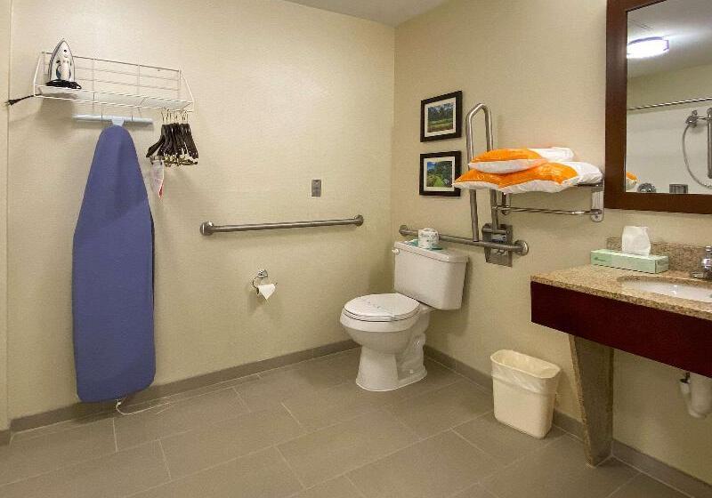 Люкс Кровать Кинг, Best Western Plus Royal Mountain Inn & Suites