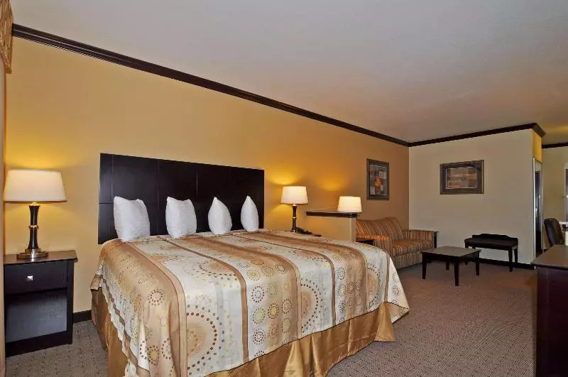 キングサイズベッドのスタンダードルーム, Best Western Plus Royal Mountain Inn & Suites