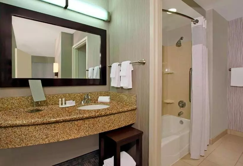 اتاق استاندارد, Courtyard Atlanta Airport West