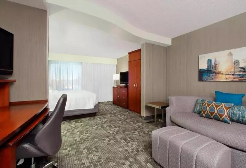 اتاق لوکس با تخت بزرگ, Courtyard Atlanta Airport West