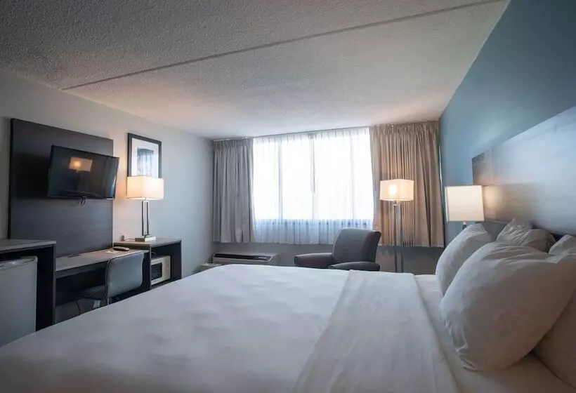 デラックスルーム, Best Western Rutgers University