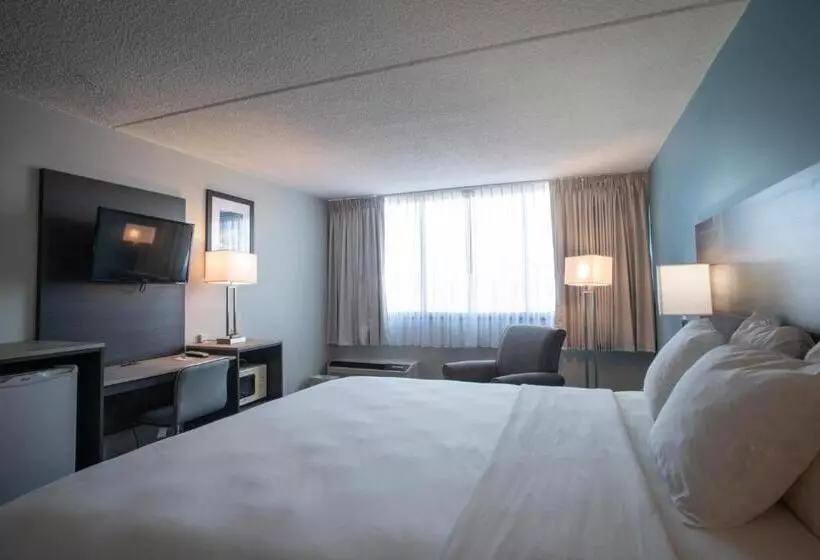 キングサイズベッドのスタンダードルーム, Best Western Rutgers University