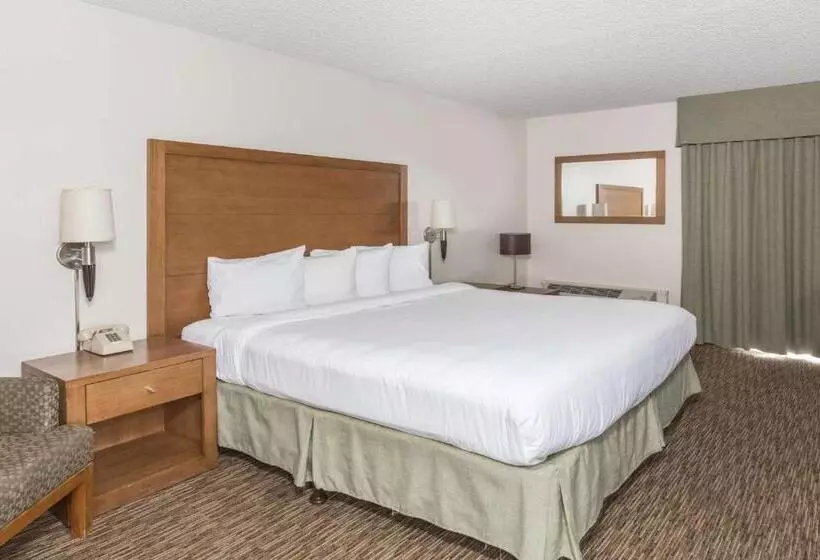 キングサイズベッドのスタンダードルーム, Days Hotel By Wyndham Peoria Glendale Area